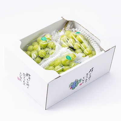 岡山県産シャインマスカット2kg(2～4房)【配送不可地域：離島】