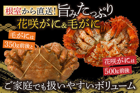 花咲がに500g前後×1尾、毛がに350g前後×1尾セット A-54004