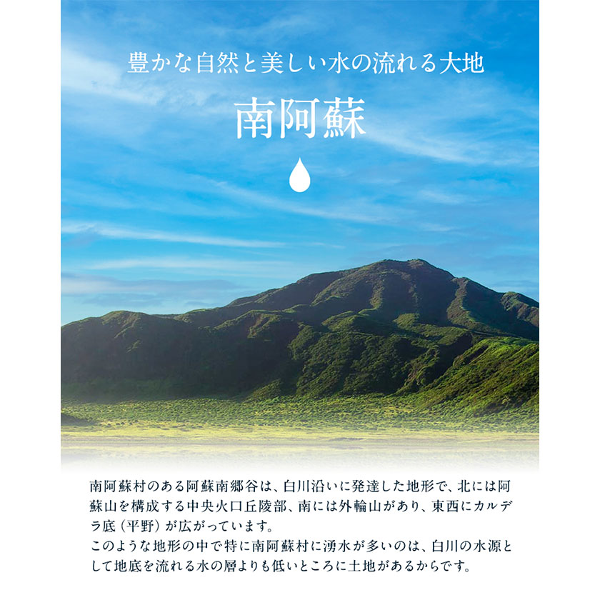 阿蘇の逸品 特製デリカセット 3種類 6個《30日以内に出荷予定(土日祝除く)》  ラザニア グラタン ベイクドカレー ドリア---sms_fszndrk_30d_24_24000_1080g---