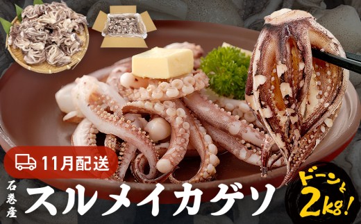 いか 〈 訳あり 〉11月配送 宮城県産 スルメイカ ゲソ 2kg 冷凍 国産 いか 下足 イカ イカゲソ カルパッチョ おつまみ 魚介類 焼イカ イカ料理  バーベキュー BBQ わけあり 不揃い 烏賊 炒め物 フライ ゲソ天 唐揚げ 石巻 宮城