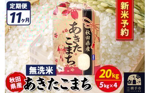 《令和7年産 新米受付》《定期便11ヶ月》あきたこまち 20kg【無洗米】秋田県産 こまちライン