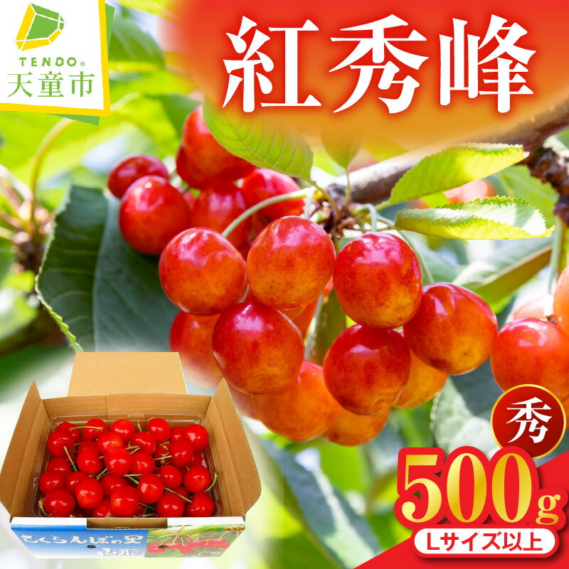 【ふるさと納税】 さくらんぼ ( 紅秀峰 ) 500g 秀 L以上 バラ 山形 先行予約 令和8年産 2026年産 チェリー サクランボ フルーツ 果物 くだもの 旬 数量限定 冷蔵 のし 贈答 ギフト プレゼント お取り寄せ 産地直送 送料無料 6月 【 山形県 天童市 】