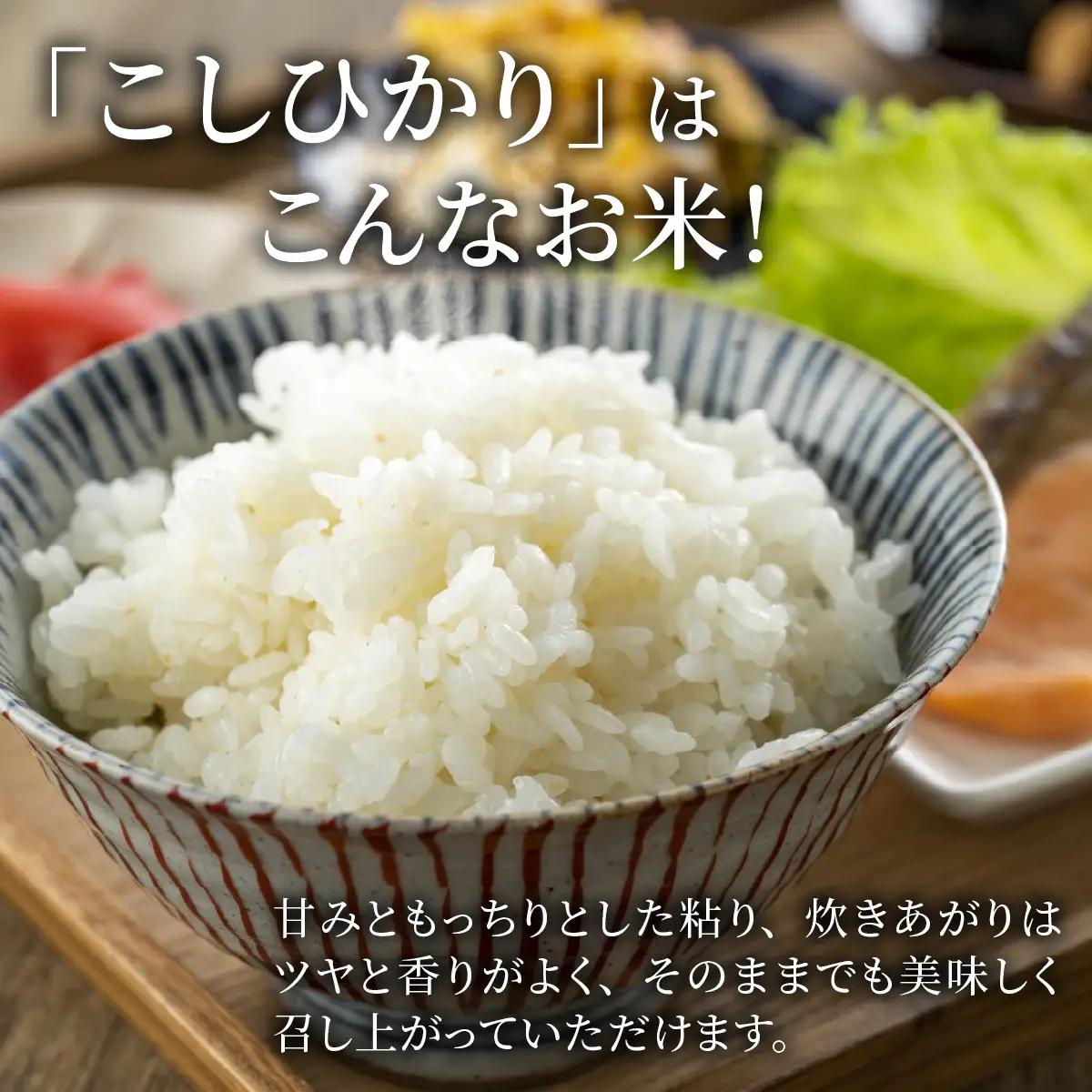 こしひかり 南さんちのこしひかり 10kg【令和8年産】【有機JAS認証米】