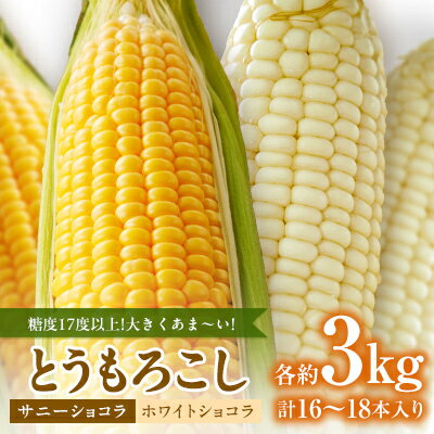 【ふるさと納税】糖度17度以上!とうもろこし【ホワイトショコラ(白)とサニーショコラ(黄)】各3kg 計16～18本_ とうもろこし トウモロコシ 富良野産 ホワイトショコラ サニーショコラ 果物 フルーツ 野菜 産地直送 産直 ギフト 送料無料 【配送不可地域：離島】【1552239】