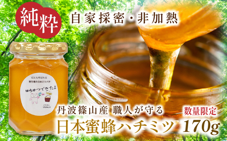 【限定数量】日本蜜蜂ハチミツ 170g はちみつ