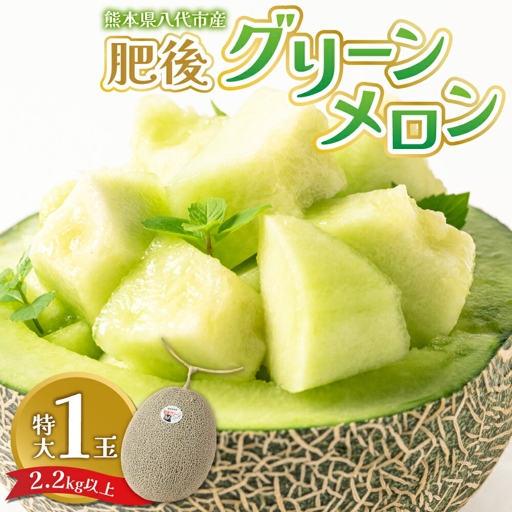 【ふるさと納税】【先行予約】 熊本県八代市産 肥後グリーンメロン 特大1玉 (2.2kg以上) メロン めろん 果物 くだもの フルーツ デザート 旬 青肉 ジューシー 甘い 送料無料 【2026年6月中旬より順次発送】