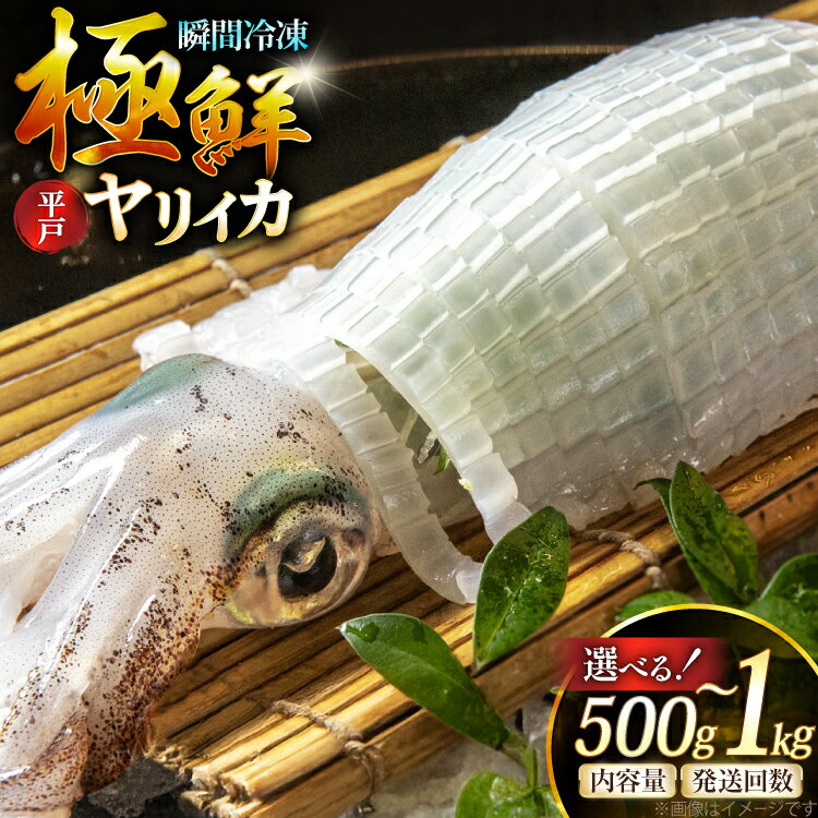 【ふるさと納税】 イカ 極鮮ヤリイカ 刺身 選べる量 回数 500g 1kg 3回 定期便 [海隆丸 長崎県 平戸市 hr42bvk550000-o] ヤリイカ 新鮮 海鮮 魚介 瞬間冷凍 冷凍 コリコリ 直送 個包装 真空パック 500グラム 簡単 便利 手軽 説明書付き 1キロ 定期
