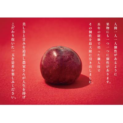 ふるさと納税 甲州市 【先行予約2026年】甲州市産 貴陽 1kg(5〜7個入) |  | 03