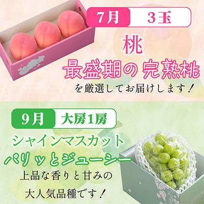 ふるさと納税 山梨市 【発送月固定定期便】山梨の美味しい【桃とシャインマスカット】定期便全2回 |  | 01