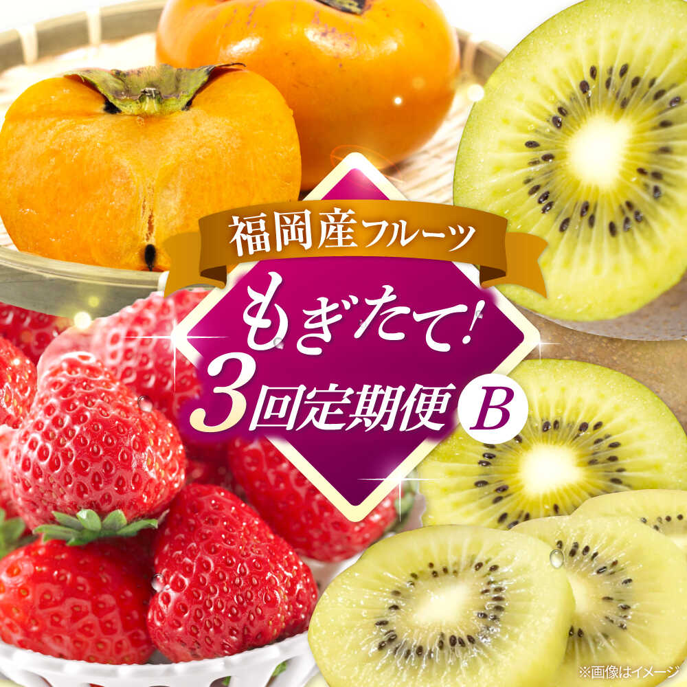 【ふるさと納税】【全3回定期便】九州・福岡もぎたて フルーツ定期便 B　桂川町/一般社団法人地域商社ふるさぽ[ADCF018]