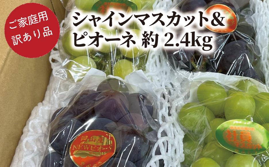 
            KF-B084【きよとうファーム】訳あり ピオーネ&シャインマスカット /合わせて約2.4kg (岡山県産)
          