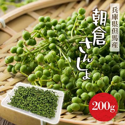 ふるさと納税 養父市 2027年先行予約5月下旬〜発送 朝倉さんしょ 200g 生 実山椒 クール便冷蔵 兵庫県産 直送