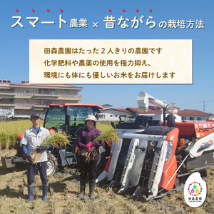 米 きぬむすめ 2kg 農家直送 特別栽培米 お米 精米 静岡県 藤枝市