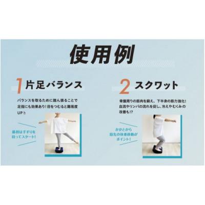 ふるさと納税 うきは市 足のトレーニンググッズ『トレッグ』U139-1DN-STTG |  | 02