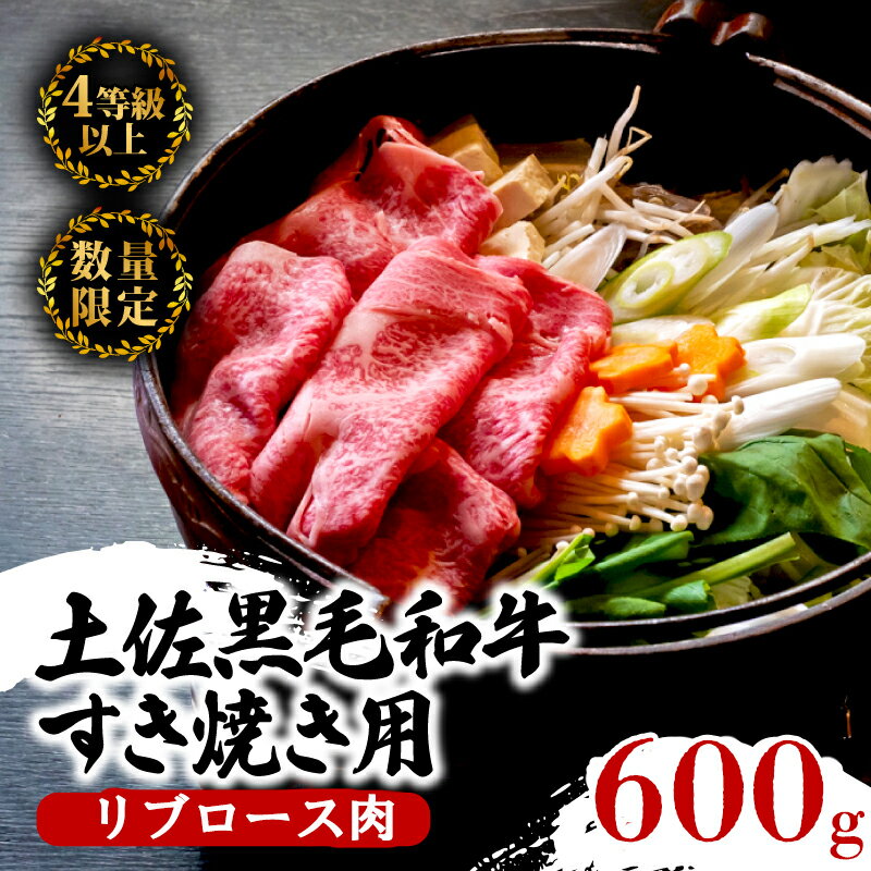 【ふるさと納税】 土佐 黒毛 和牛 すき焼き用 600g | 特撰 リブロース肉 最上位等級 A4 A5 最高ランク 贅沢 すきやき スキヤキ用 鍋 焼肉用 小分け 冷凍 国産 牛肉 高知県 須崎 ふるさと納税和牛 TM007