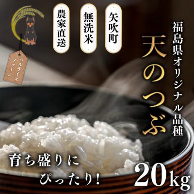 ふるさと納税 矢吹町 【令和8年産米先行受付】無洗米 農家直送 ベルライスファームの天のつぶ 20kg　育ち盛り応援パック