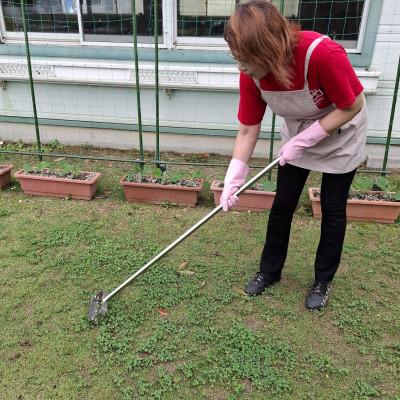 ふるさと納税 岡崎市 雑草カクワ　ロング(雑草取り)
