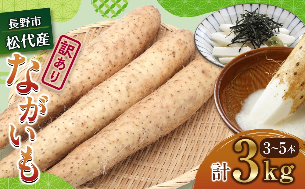 
                  高野農園　長野市松代産 TAKANO農園　長いも 約3kg(訳あり)【3～5本】 野菜 根菜 長野県産 ネバネバ シャキシャキ とろろご飯 具材 食材 国産 |  長芋 ながいもとろろ 人気 おすすめ 産地直送  送料無料  長野県 長野市 信州 信濃 ふるさと納税
                