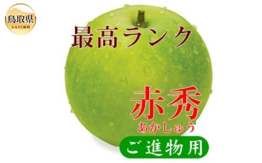 鳥取県産　二十世紀梨　“赤秀”2kg　（6玉/3Lサイズ）【期間･数量限定】_T2600481