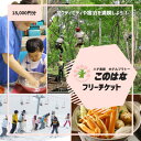 【ふるさと納税】【宿泊や体験などに使える】このはなフリーチケット18,000円分【1373794】