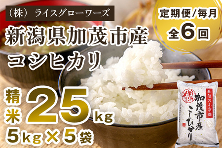 【令和8年産新米先行予約】【定期便6ヶ月毎月お届け】新潟県加茂市産コシヒカリ 精米25kg（5kg×5）《10月上旬～順次出荷》 白米 （株）ライスグローワーズ