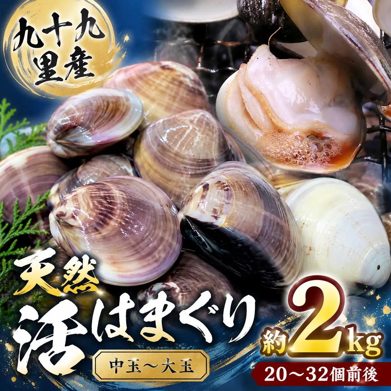 九十九里産　天然　活はまぐり（中玉～大玉） 約2kg（20～32個前後） / はまぐり ハマグリ 蛤 天然 活はまぐり 活ハマグリ 活蛤 中玉 大玉 貝 貝類 魚介 魚貝 海鮮 2kg 九十九里産 産地直送 産直 千葉県 匝瑳市