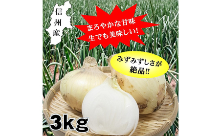 小諸産減農薬栽培・玉ねぎ約3kg