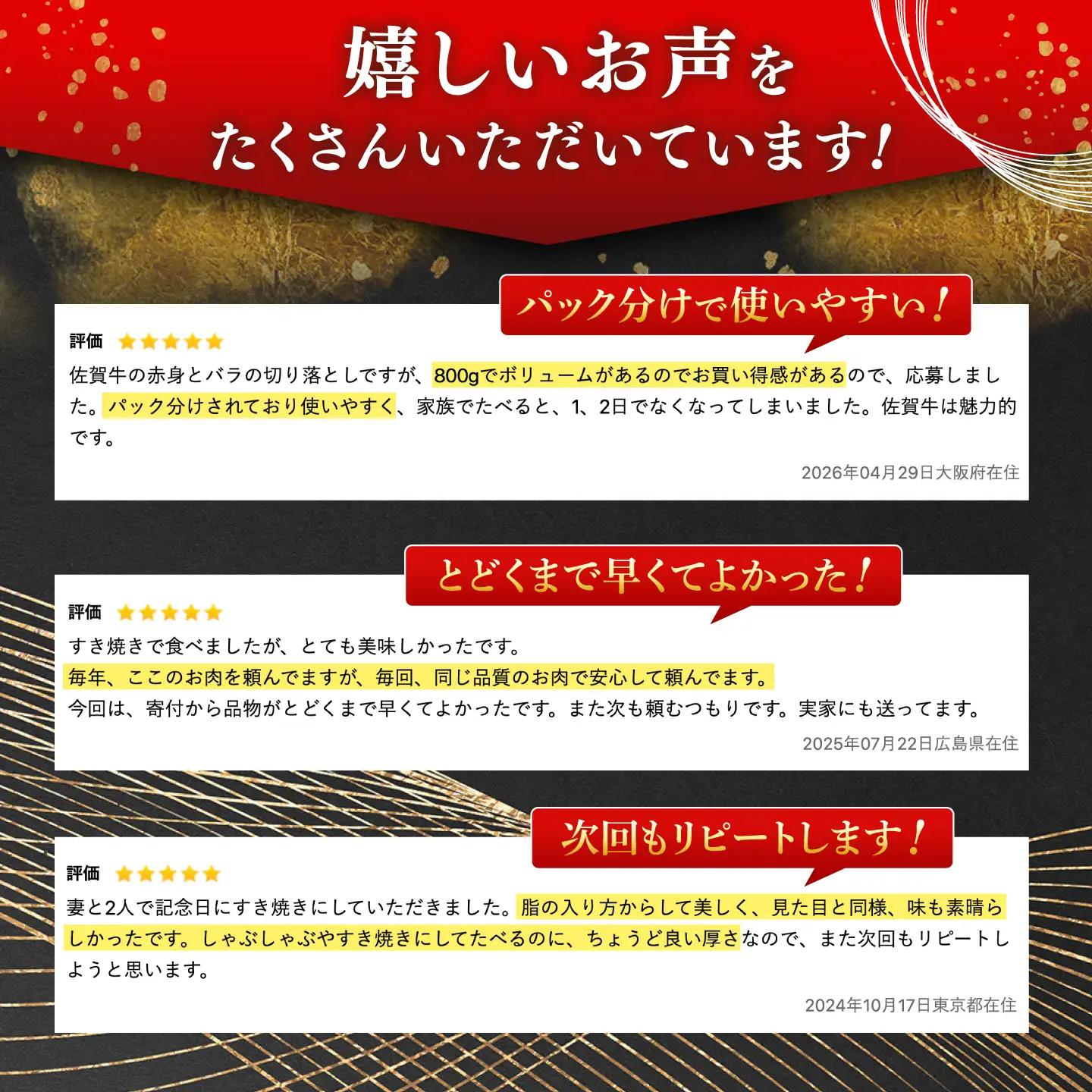 【定期便】 牛肉切り落とし 佐賀牛 総計9.6kg NAB052 牛肉切り落とし 全12回