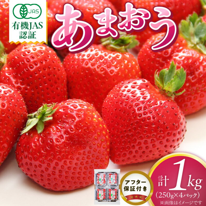 【ふるさと納税】有機 あまおう 250g 4パック 計 1000g 有機JAS認証 オーガニック いちご ストロベリー 特別栽培 認証 アフター保証付き 安心 安全 やさしい甘み 香り ジューシー 果物 果汁 フルーツ スイーツ デザート 冷蔵 お取り寄せ 福岡県 久留米市 送料無料