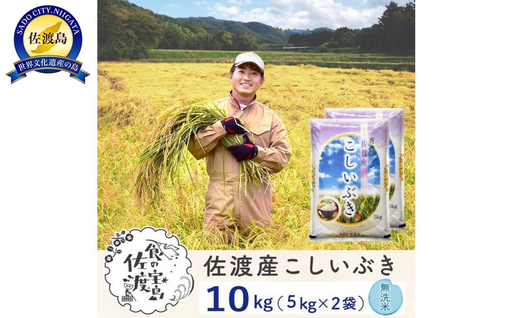 
            【新米予約】佐渡島産こしいぶき 無洗米10Kg(5Kg×2袋） 令和7年 ～農薬5割減～ 農家直送
          