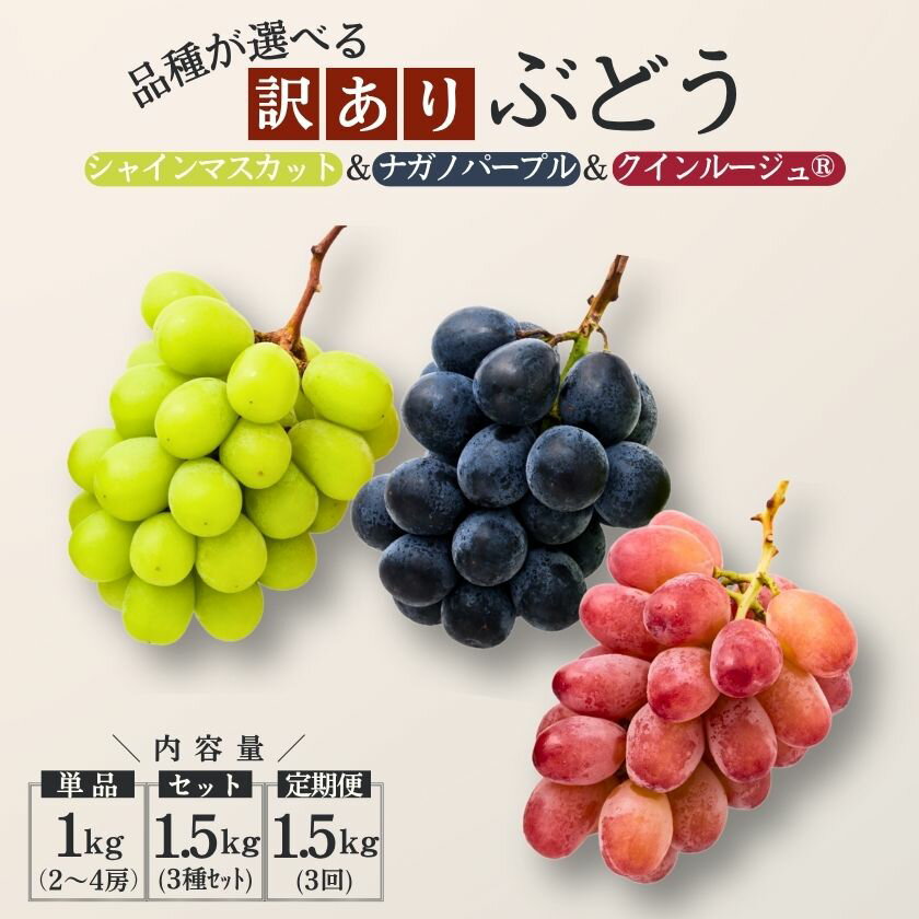【ふるさと納税】＊ランキング入賞＊『糖度にこだわる！選べる [訳あり] 3種のぶどう』単品1kg or 3種セット1.5kg or 定期便（シャインマスカット／クイーンルージュ／ナガノパープル ）2026年9月〜10月頃発送 //ふるさと納税 訳あり 食べ比べ ぶどう 葡萄 フルーツ 果物