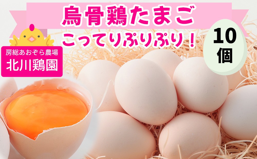 
                  烏骨鶏 たまご 10個『北川鶏園 房総のあおぞら農場』｜卵 玉子 タマゴ ブランドたまご 産みたて 新鮮 プレミアム うこっけい [0249ch]
                