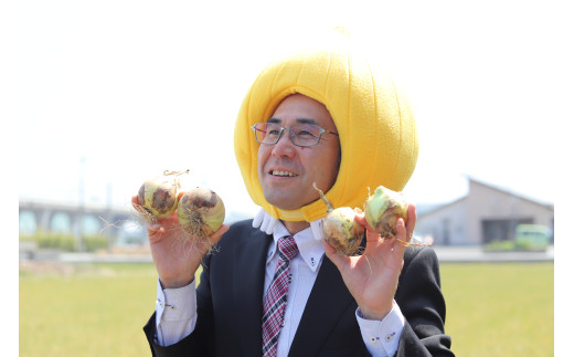 [15-83]あのヒライさん一家がみんなで育てた新玉ねぎ