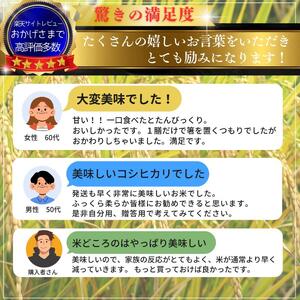 令和7年産 新潟県産 コシヒカリ 10kg 最高品質のお米を追求し続ける 篠宮農場 精米 上越市