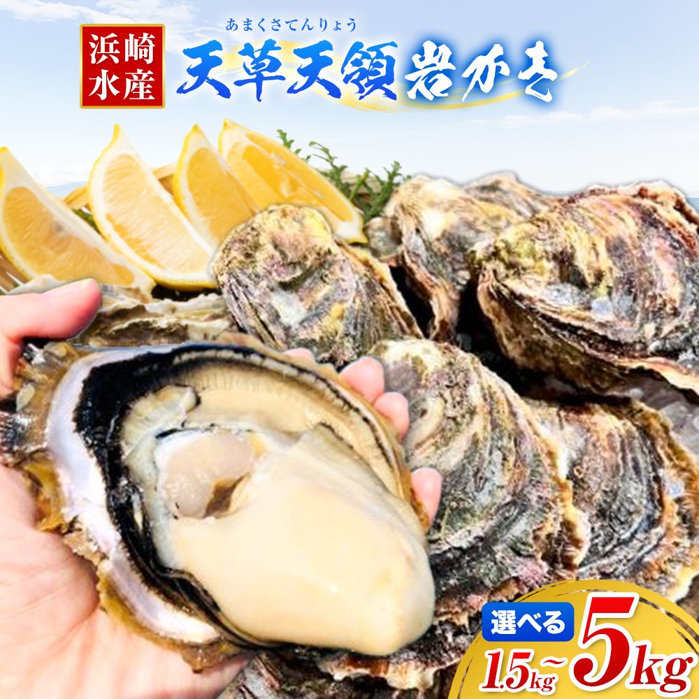 【ふるさと納税】浜崎水産 の 天草天領岩かき 選べる 容量 約 1.5kg 約 2.5kg 約 5kg 《4月上旬-7月末頃出荷》海鮮 海産物 海の幸 シーフード 魚貝類 かき 牡蠣 岩かき 岩牡蠣 夏牡蠣 生食用 生もの 濃厚 熊本県 苓北町【配送不可地域あり】