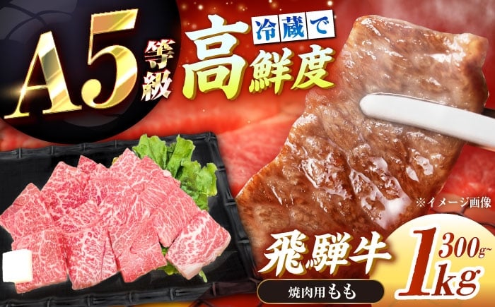
                  【選べる容量】【チルド（冷蔵）発送！】 牛肉 「飛騨牛」 A5等級 もも 300g～1kg / 肉 お肉 にく牛肉 飛騨牛 和牛 国産和牛 ブランド牛 お取り寄せ 価格 ステーキ 焼肉 贈答用 ギフト プレゼント 高級 焼肉 鉄板焼き 網焼き BBQ バーベキュー / 恵那市 / 東美濃農業協同組合 [AUFX004]
                