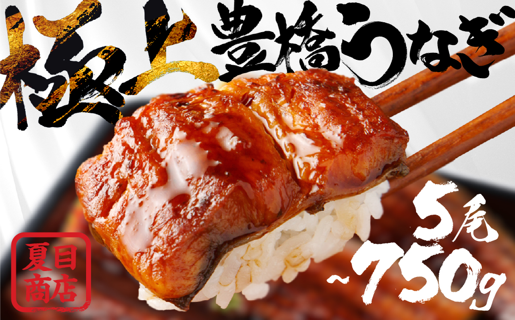 極上 豊橋うなぎ 蒲焼 5尾 ~750g 夏目商店