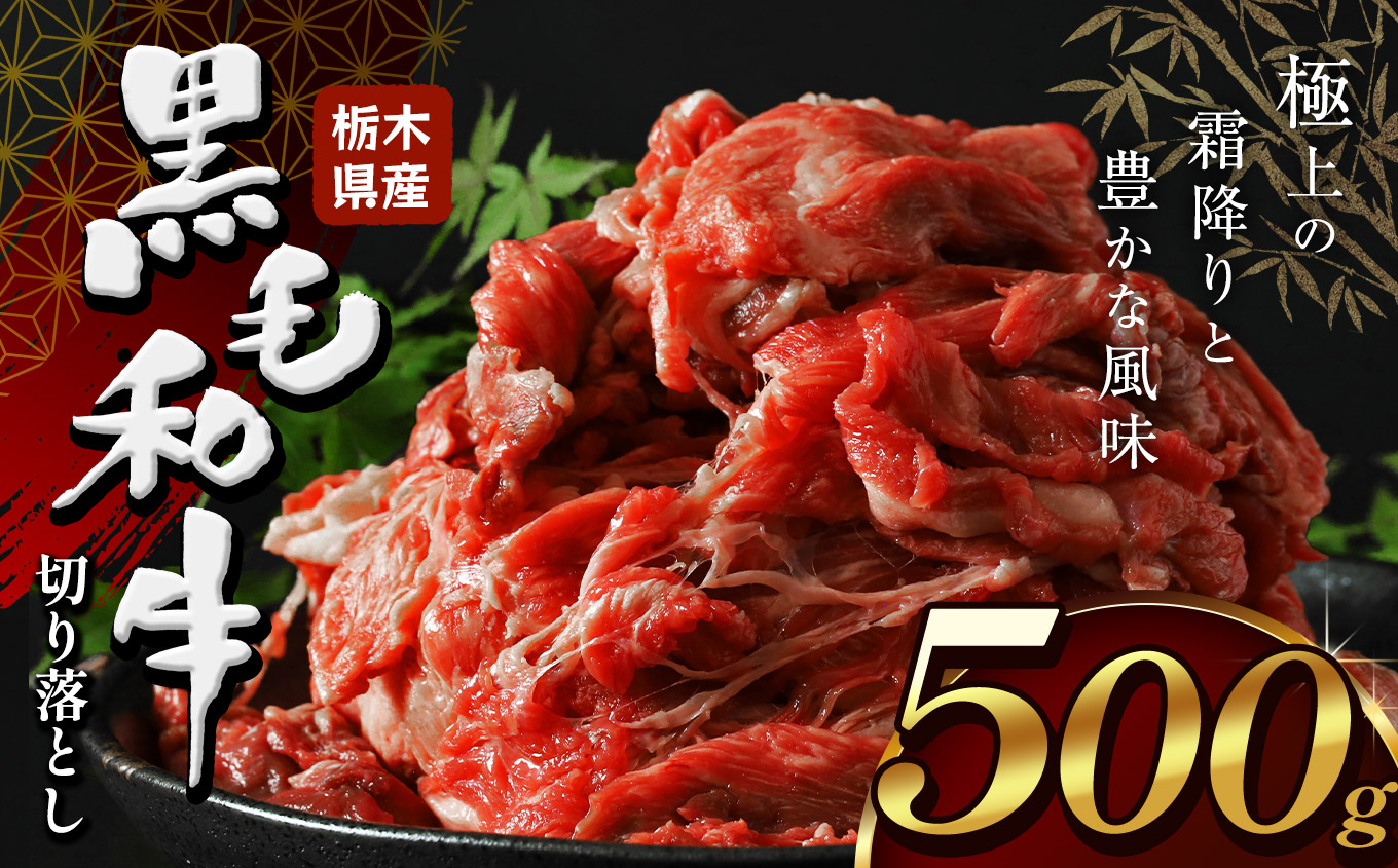栃木県産黒毛和牛切り落とし500g