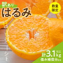 【ふるさと納税】先行予約 訳あり 数量限定 はるみ 計3.1kg以上 傷み補償分付き 期間限定 フルーツ 果物 くだもの みかん オレンジ 柑橘 国産 食品 不揃い 傷 規格外 訳アリ ご家庭用 ご自宅用 おすそ分け おすすめ デザート おやつ 産地直送 宮崎県 日南市 送料無料