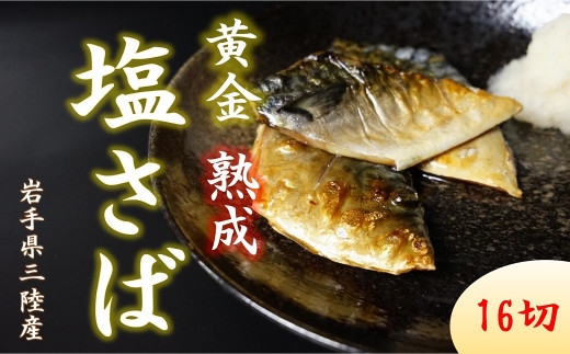 【定期便】塩サバ 切り身16切 計2回発送【15】