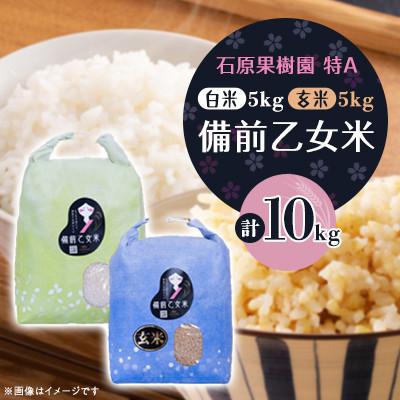 ふるさと納税 高梁市 【石原果樹園】備前乙女米　白米5kg×1袋・玄米5kg×1袋(BOHB05-2) | 