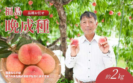 No.2407福島 桃　晩成種約2kg【2026年発送】