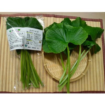 ふるさと納税 相馬市 相馬わさび(葉)85g入×1パック