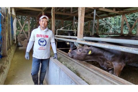 【A5-458】＜なかむら謹製＞【博多和牛】博多和牛ミックスホルモン500g