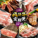 【ふるさと納税】【定期便】A5 飛騨牛 12回 定期便 12ヶ月 毎月 食べ比べ 牛肉 肉 和牛 国産牛 黒毛和牛 焼肉 すき焼き すきやき しゃぶしゃぶ ステーキ 赤身 霜降り お楽しみ トキノ屋食品 本巣市 [mt356] 268000円