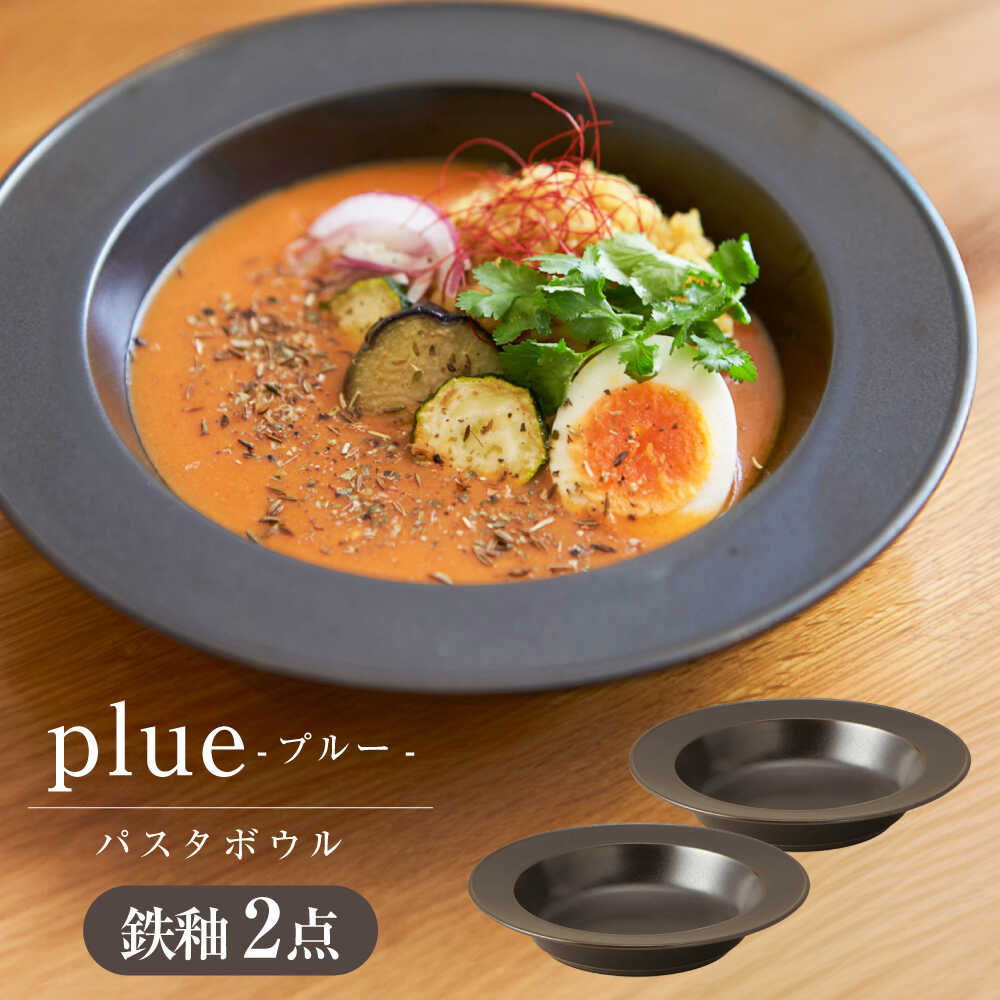 【ふるさと納税】【美濃焼】 miyama.のパスタボウル プルー 鉄釉 2個 瑞浪市 / ミヤマプランニング 食器 皿 プレート[AZCM055]
