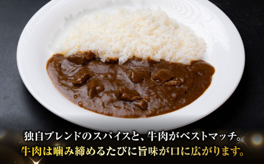 牧舎みねむら ビーフカレー5個セット_ ※着日指定不可