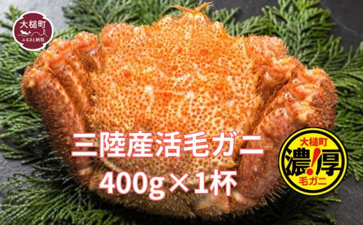 【期間限定！2026年3月〜4月発送先行予約】三陸産活毛ガニ400g相当×1杯 (1尾)【配送日指定不可】
