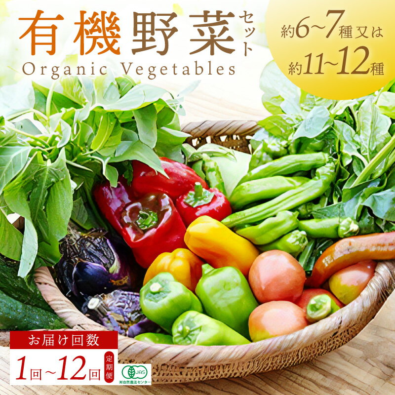 【ふるさと納税】有機JAS認証 ＜てんとうむしばたけ＞オーガニック野菜セット 有機野菜 6〜7種 2人用 11〜12種 4人用 定期便 選べる 内容量 発送月 回数 農家直送 京都直送 野菜 詰め合わせ 野菜セット 国産 京都産 ふるさと納税 野菜