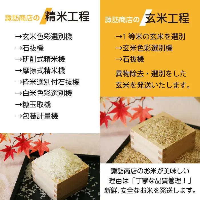 五ツ星お米マイスター 厳選 岩手県産 金銀セット 精米 食べ比べ 総量 10kg 【諏訪商店】 米 こめ コメ 金色の風 銀河のしずく 白米 ご飯 ごはん ライス グルメ 食料 五つ星 5つ星 5ツ星